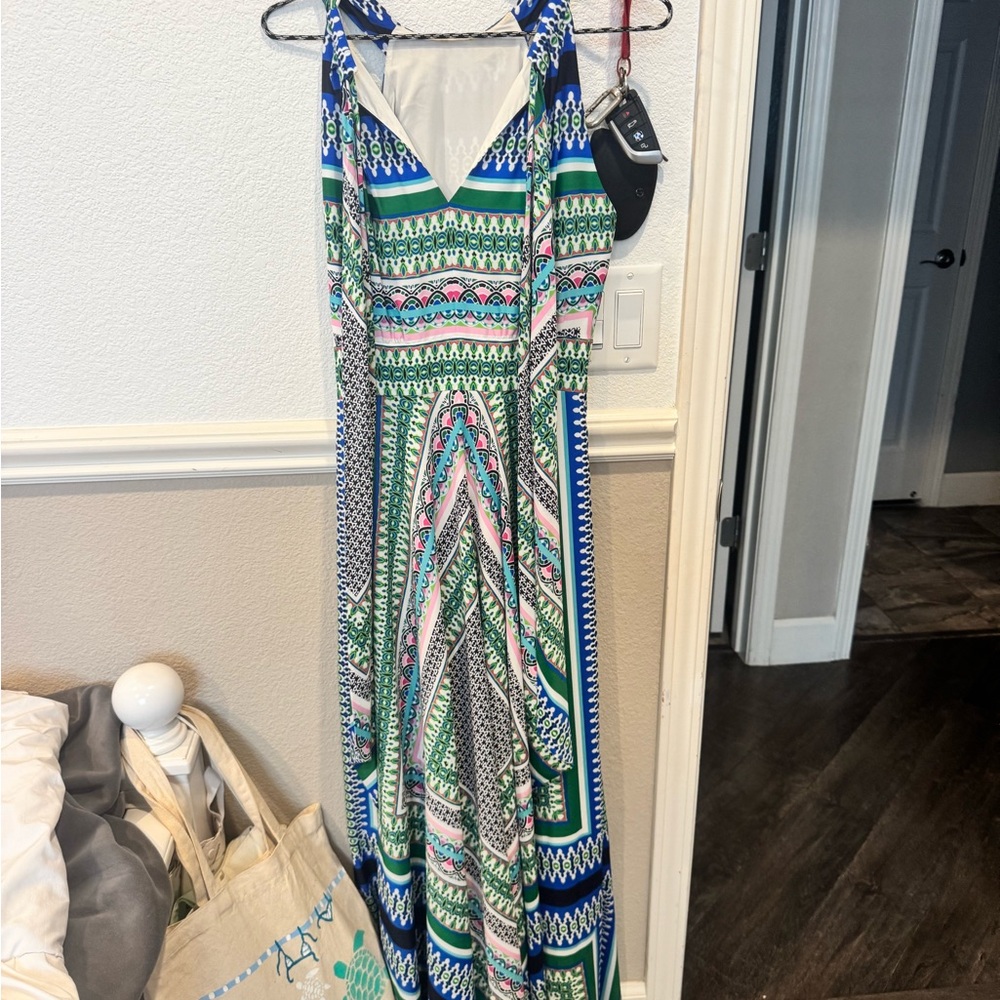 Elizabeth and James Blue, Green & Pink Printed Maxi Dress